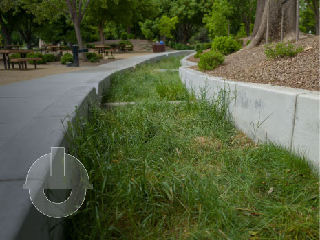 Grass grows in a bio-swale or rain garden for catching stormwater runoff. Image has and gradient overlay with engineering icon