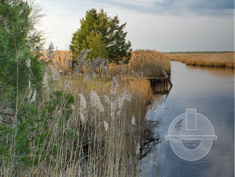 Image of New Jersey Pinelands with a blue sky and gradient overlay with engineering icon