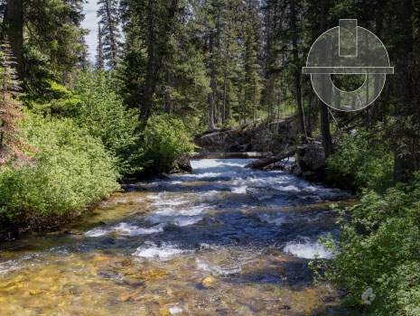 A small stream in Grand Teton National Park. Water stream is moving down over rocks and a forest surrounds it.