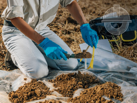 Soil Testing. Agronomy Inspector Taking Soil Sample