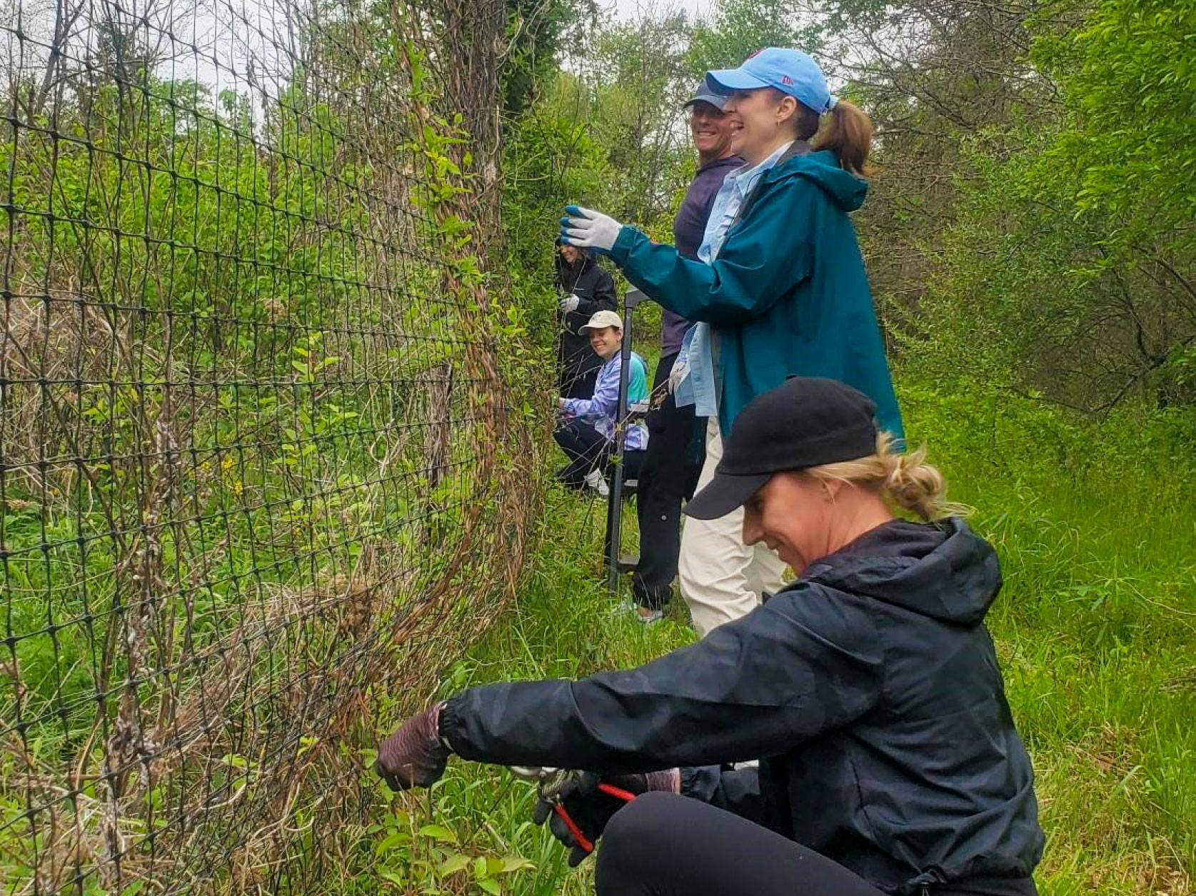 UTRS volunteers clearing overgrowth to maintain deer fencing