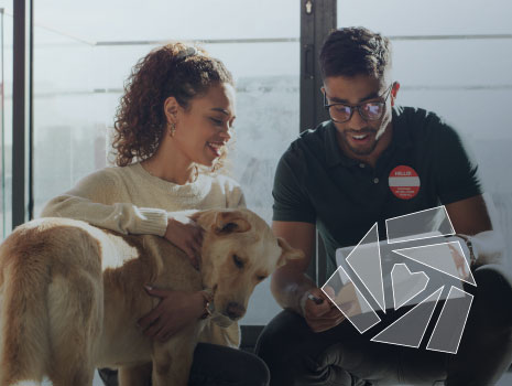 Animal shelter, people and volunteer with clipboard, adoption and ownership of dogs and application. Rescue center, attendant and man with checklist for agreement, woman and process for foster care